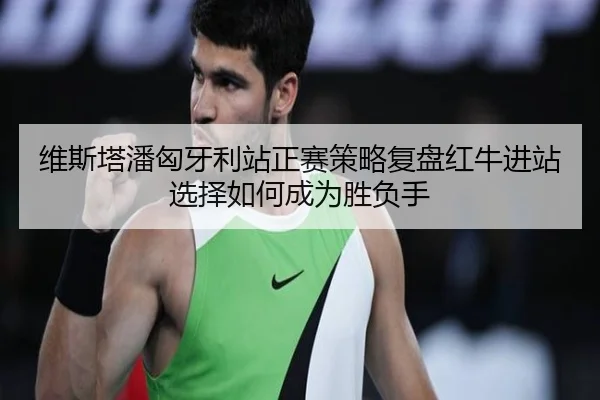 维斯塔潘匈牙利站正赛策略复盘红牛进站选择如何成为胜负手