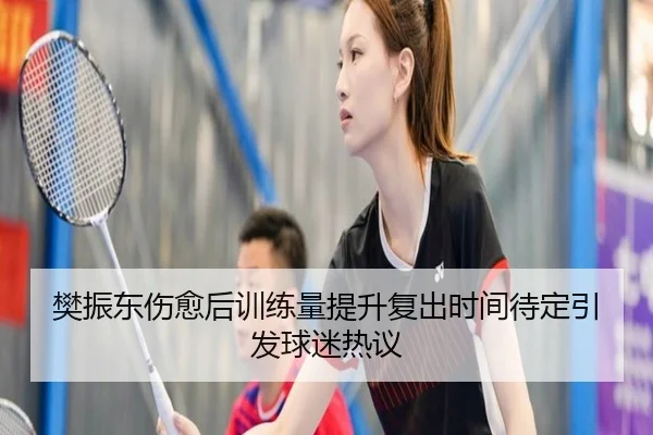 樊振东伤愈后训练量提升复出时间待定引发球迷热议